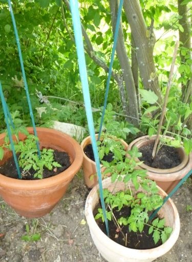 Ferienwohnung Raunecker