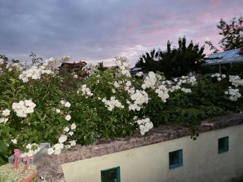 Ferienwohnung Seetalblick