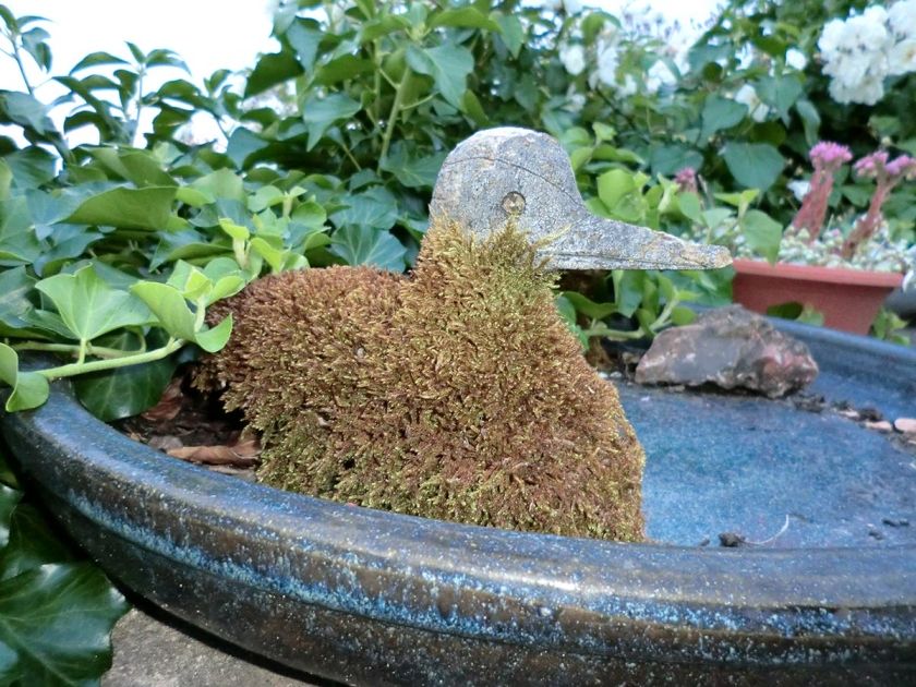 Ferienwohnung Seetalblick