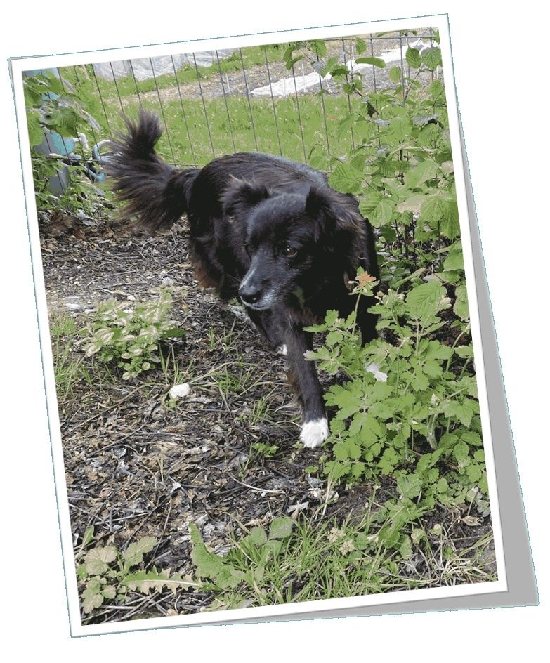 Ferienwohnung Obsthof Häberle