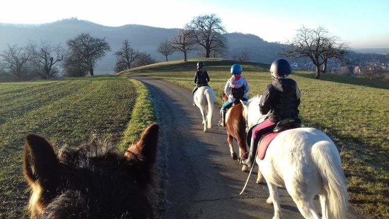 Wanderreiten auf der Schwäbischen Alb