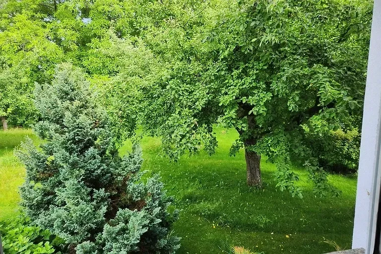 Haus Immler - Ferienwohnung Im Baumgarten