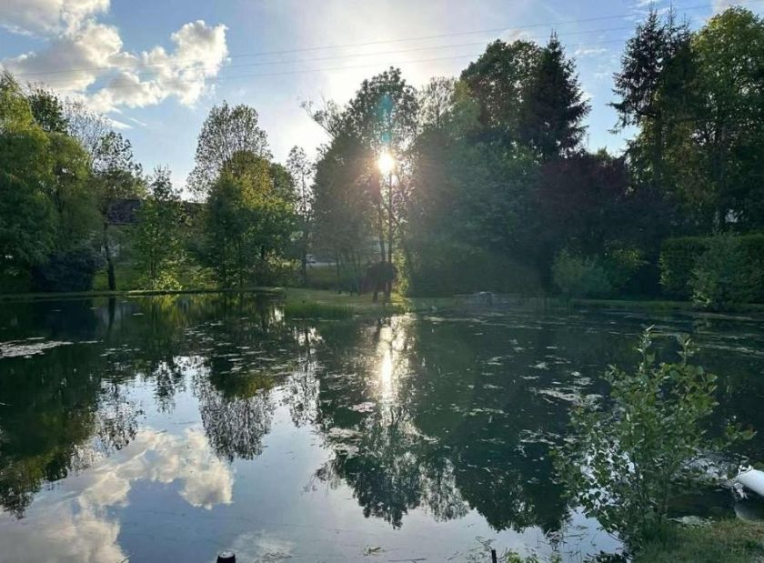 Hotel & Restaurant Le Vieux Moulin