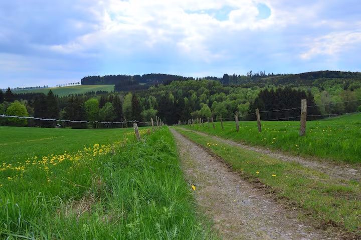 Ferienwohnung Mitten in der Natur