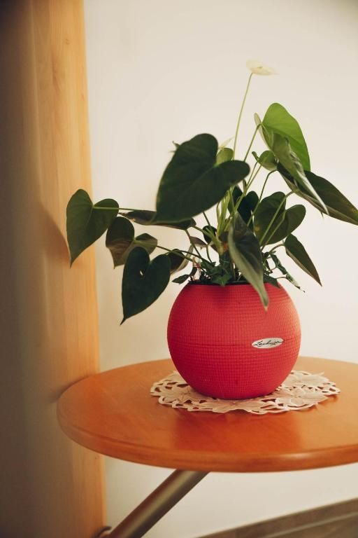 Ferienwohnung Kaufmann