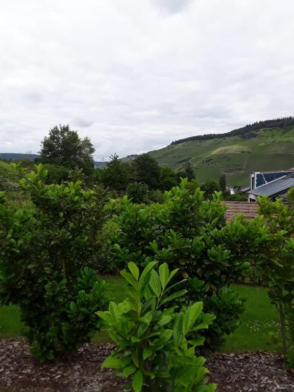 Ferienwohnung Kaufmann