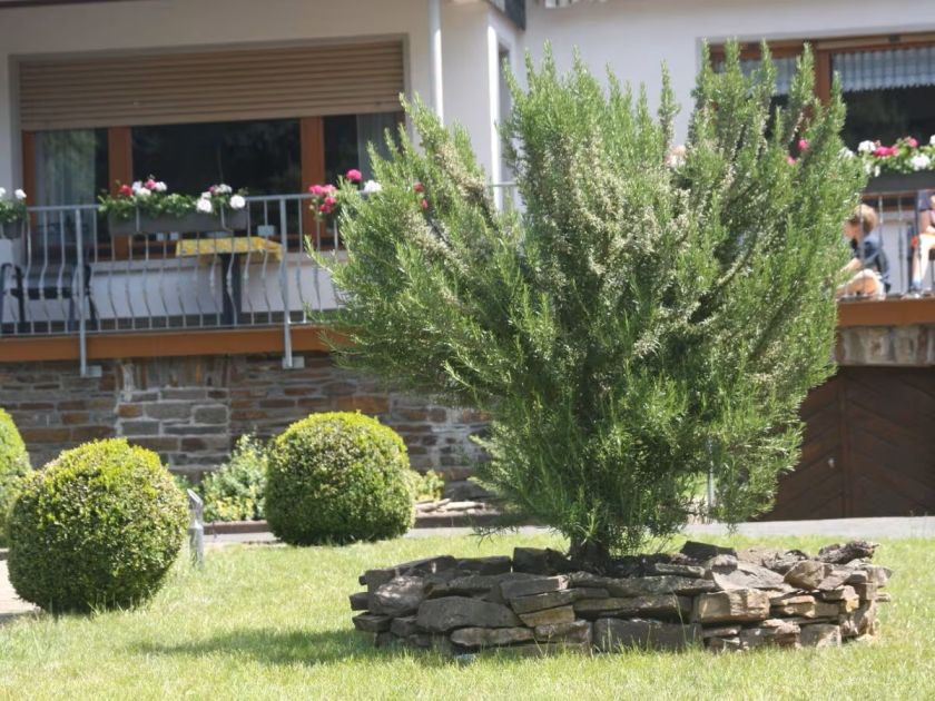 Ferienweingut Zimmer-Blümling