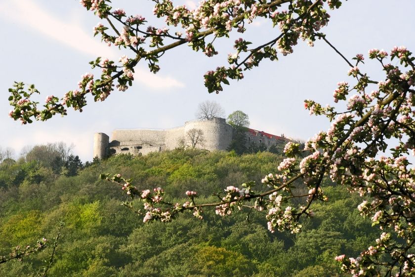 Burgruine Hohenneuffen