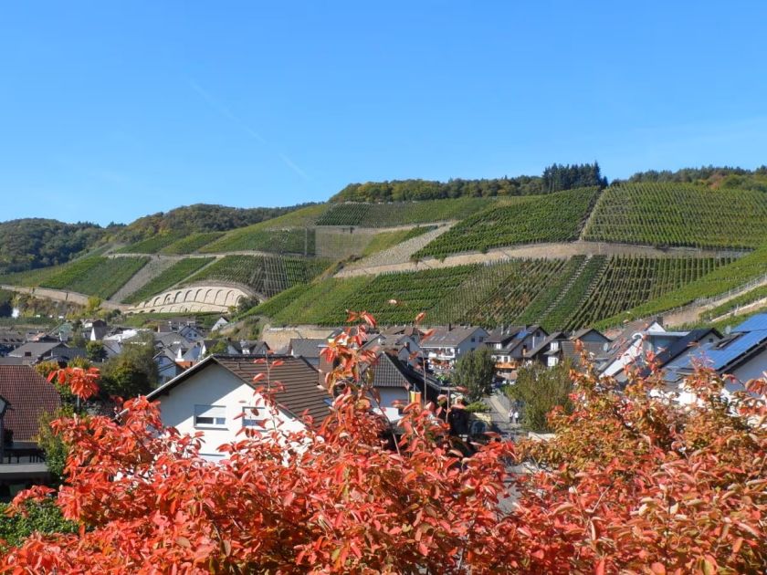 Ferienwohnung Dernau