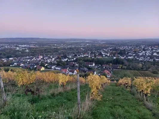 Ferienwohnung Tiller in Münster-Sarmsheim