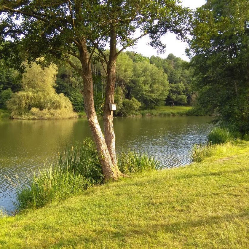 Campingplatz Hauserbachsee