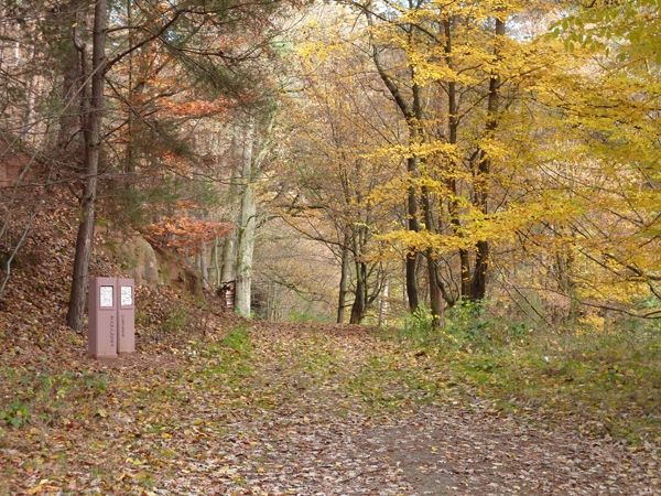 Haus Maria HDH in Bobenthal - Feriendomizil für Wanderer, Naturliebende und Familien