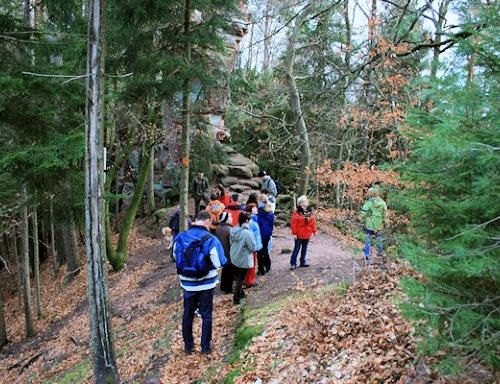 Ferienwohnungen Appartements Falkenmühle