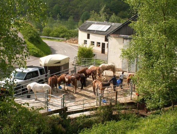 Wanderreiten