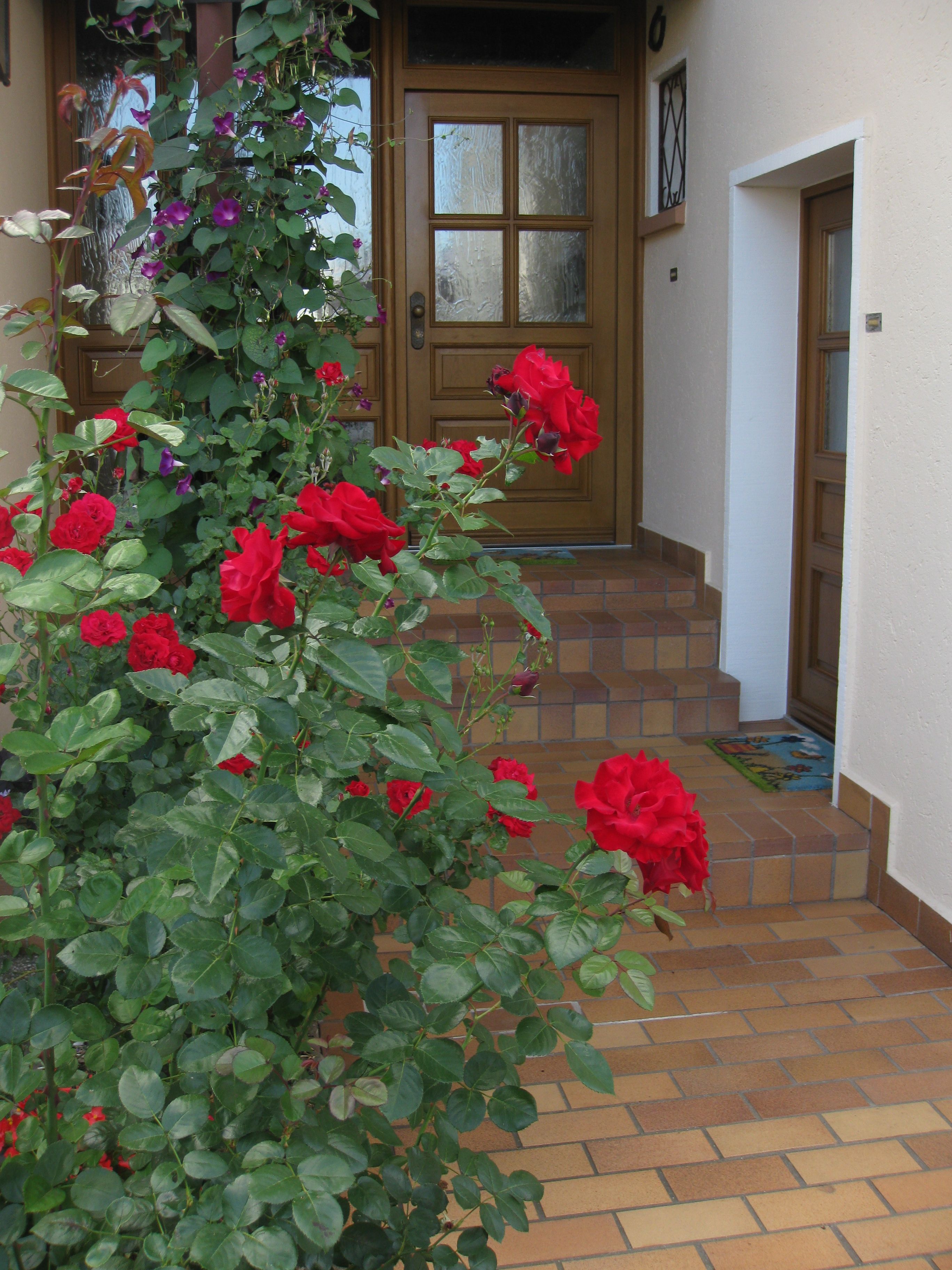 Eingang zur Ferienwohnung