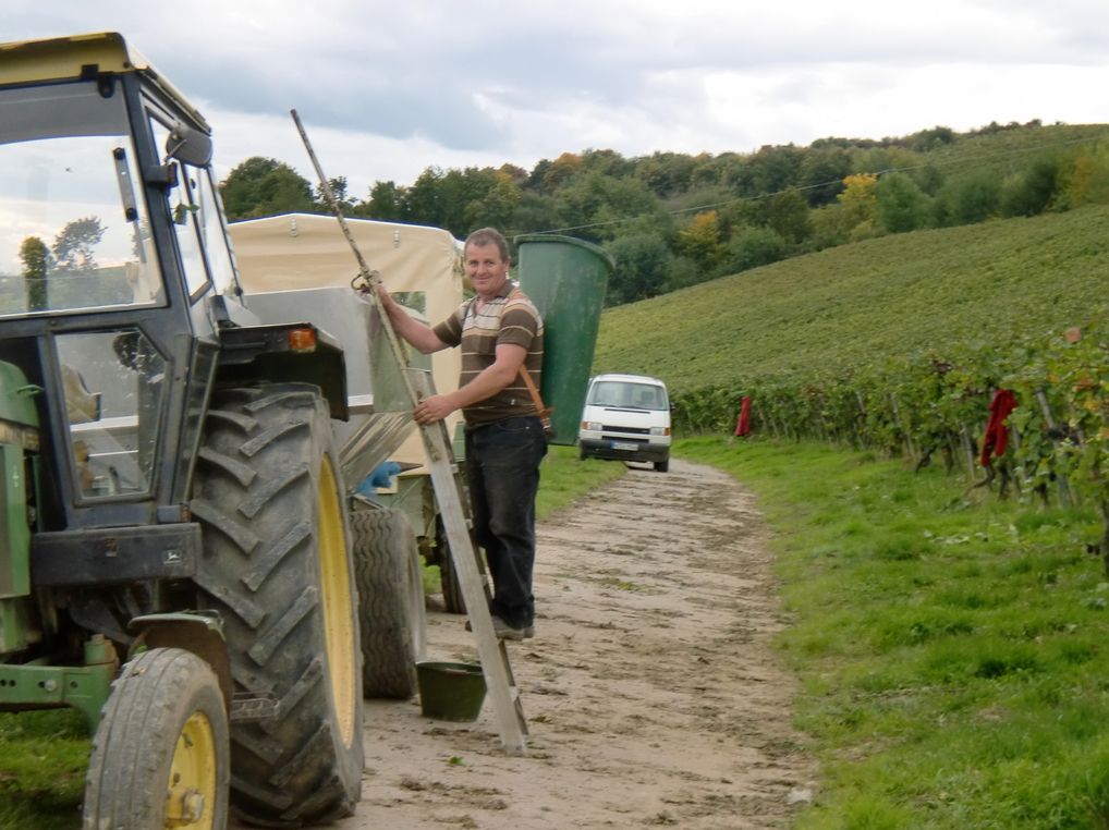 Dietz Wein & Sekt - Straußwirtschaft, Gutsschänke und Weingut - Rheinhessen