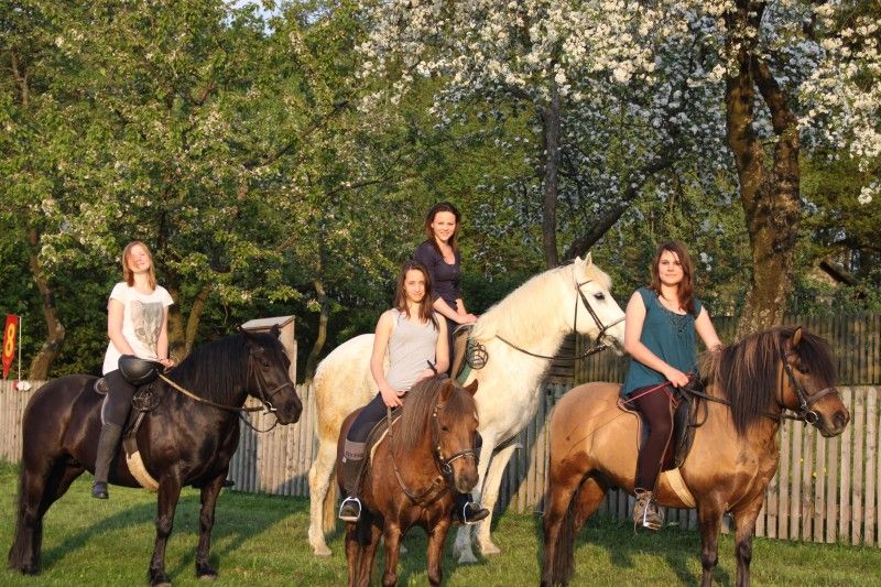 Höhenhof * Urlaub auf dem Bauernhof * Erlebnisbauernhof * 