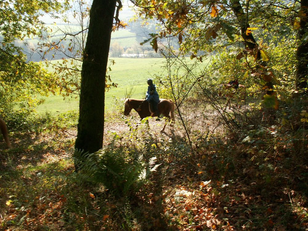 Camping Toodlermillen