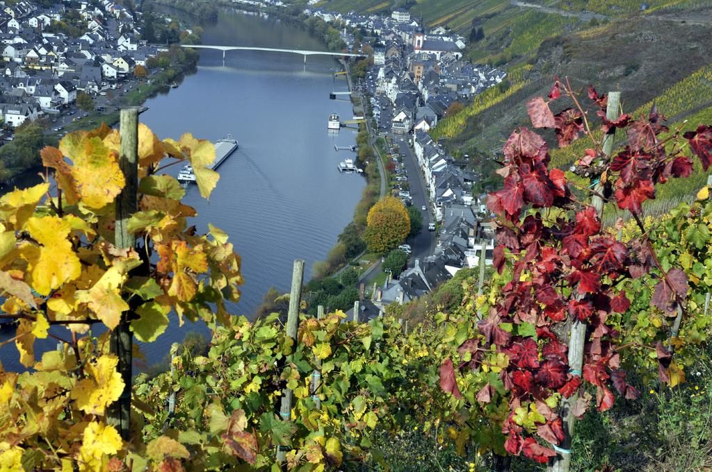 Haus Brandenburg mit Moselblick
