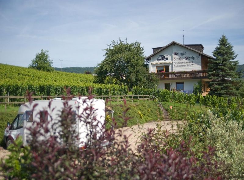 Weingut & Gästehaus Schäfer-Dienhart