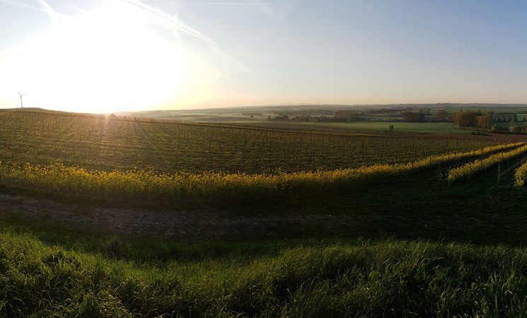 Weingut Klostermühlenhof