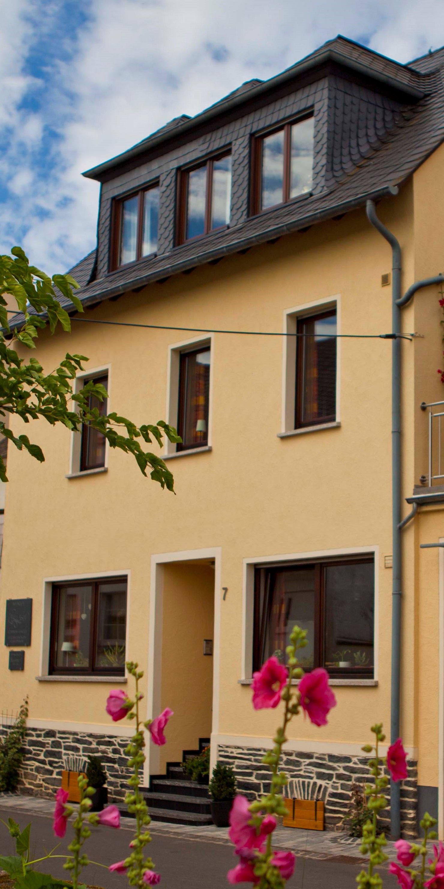 Weingut & Gästehaus Falkenburg