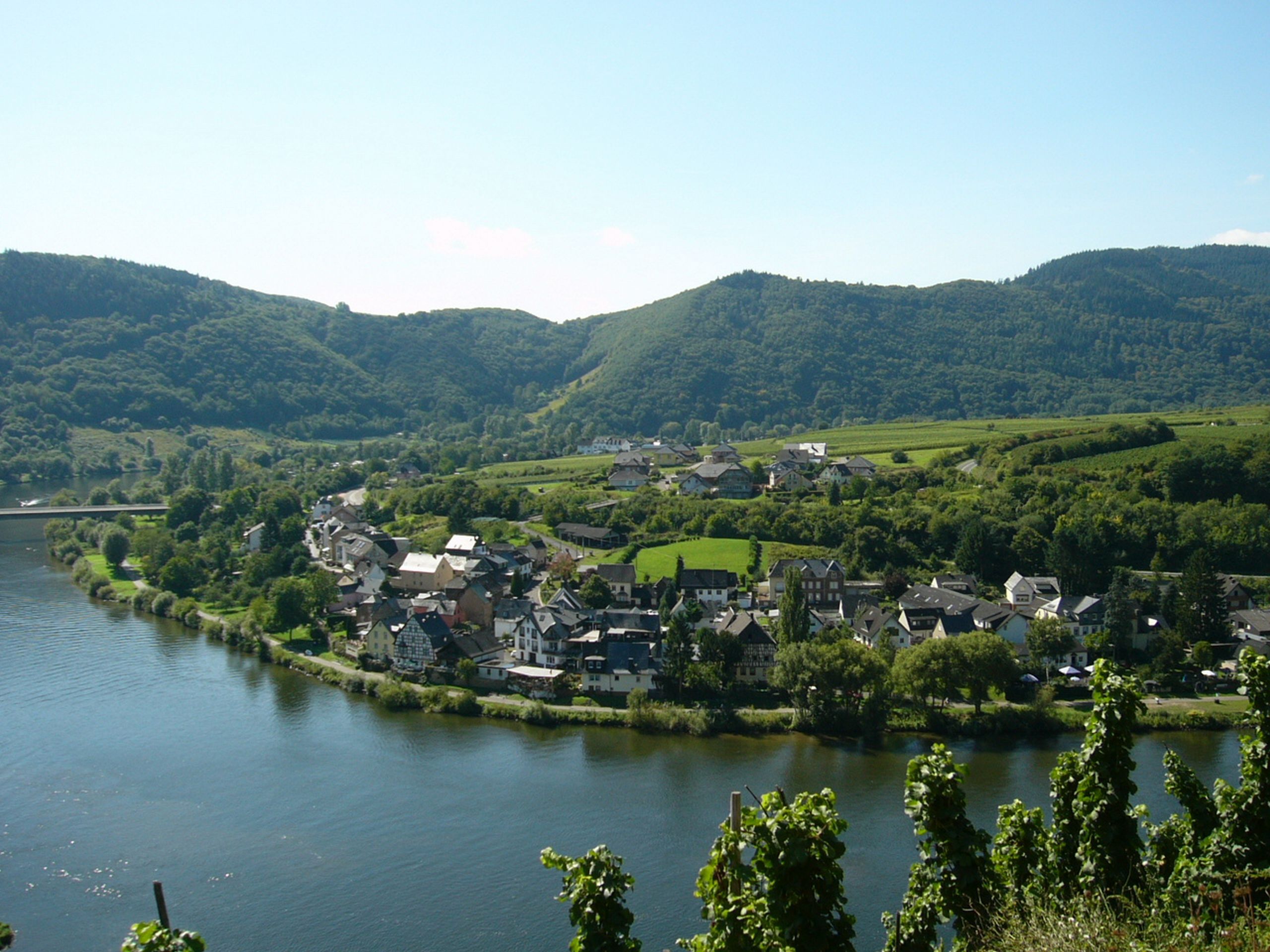 Hochwertige-Parterre-Ferienwohnung **** Senheim Mosel