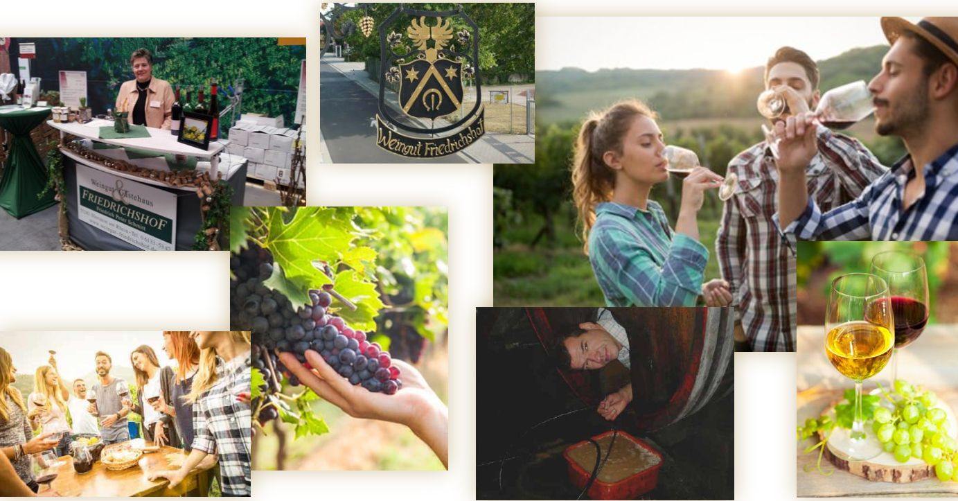 Friedrichshof - Weingut & Gästehaus in Rheinhessen