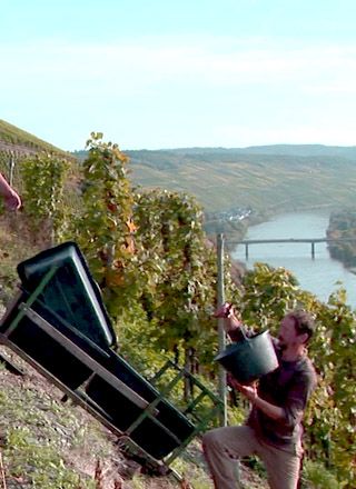 Ferienweingut Heil an der Mosel