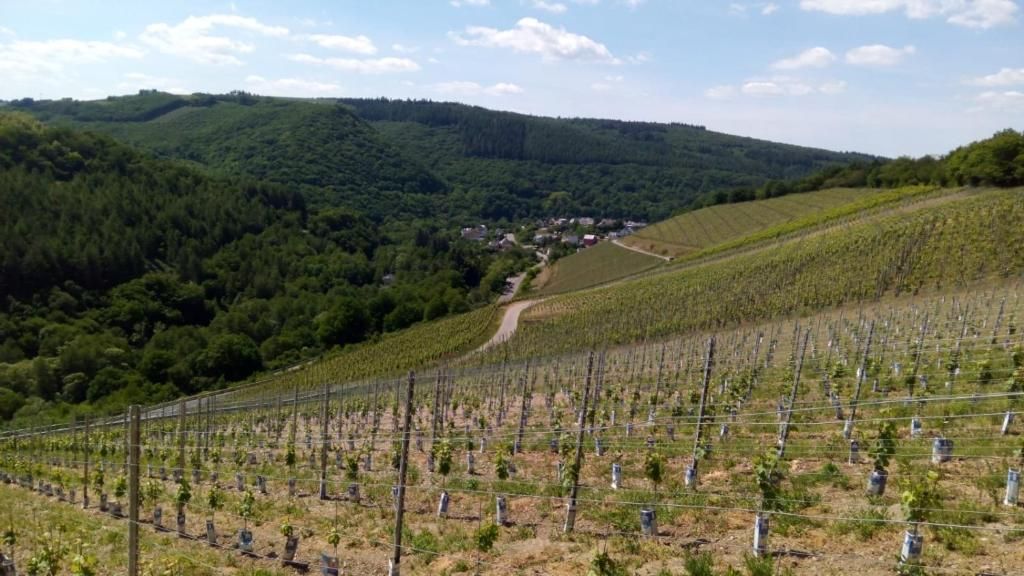 Hotel Landgasthof Simon