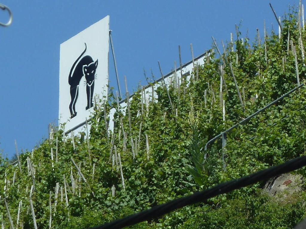 Ferienhaus Römerhäuschen