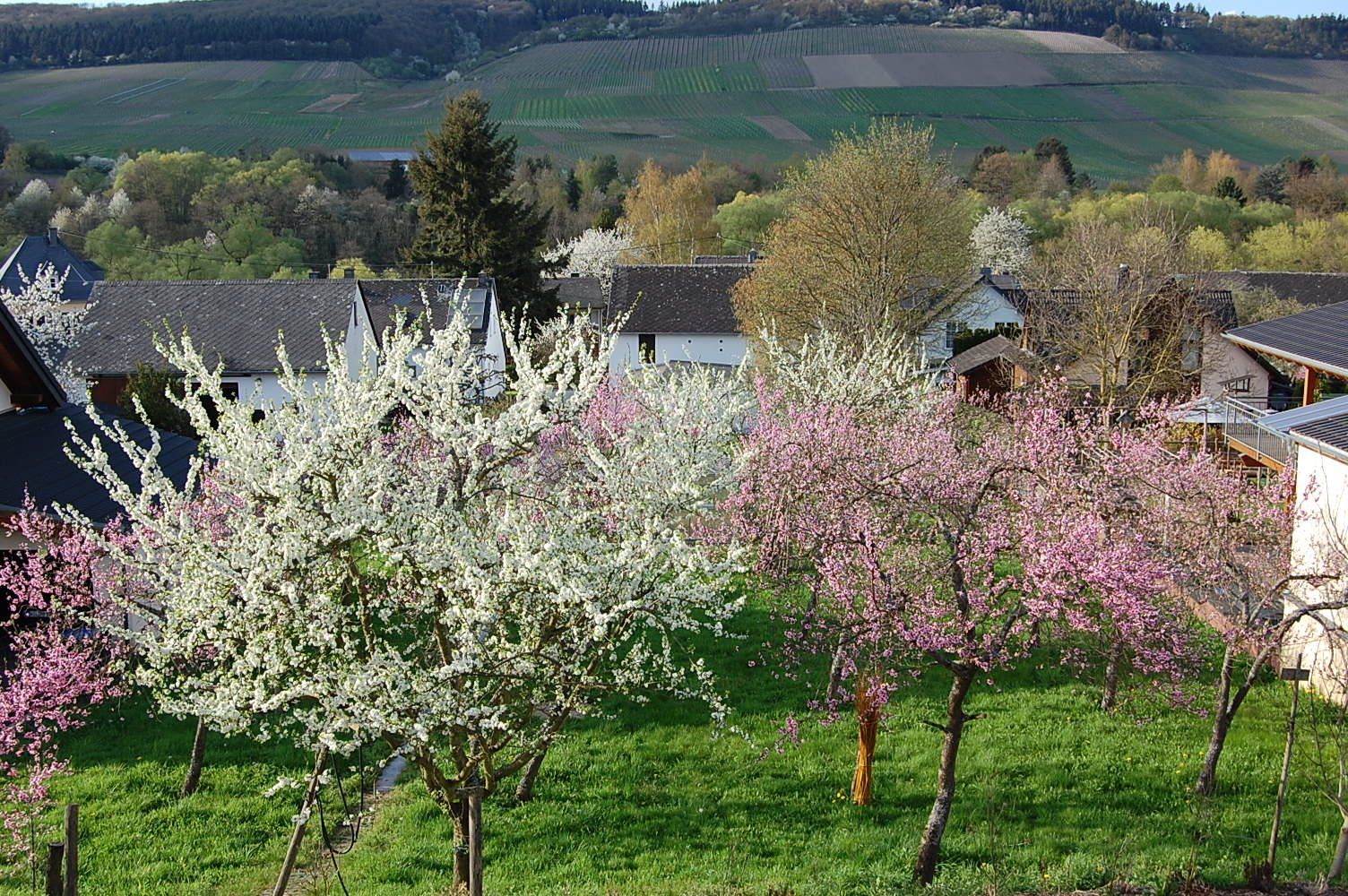 Ferienwohnung Urstromtal