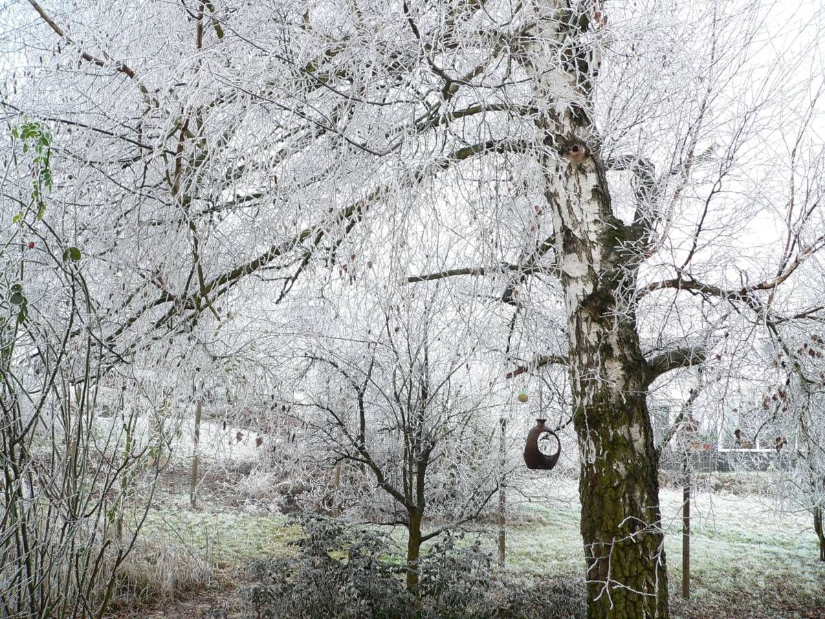 Ferienwohnung Ingrid