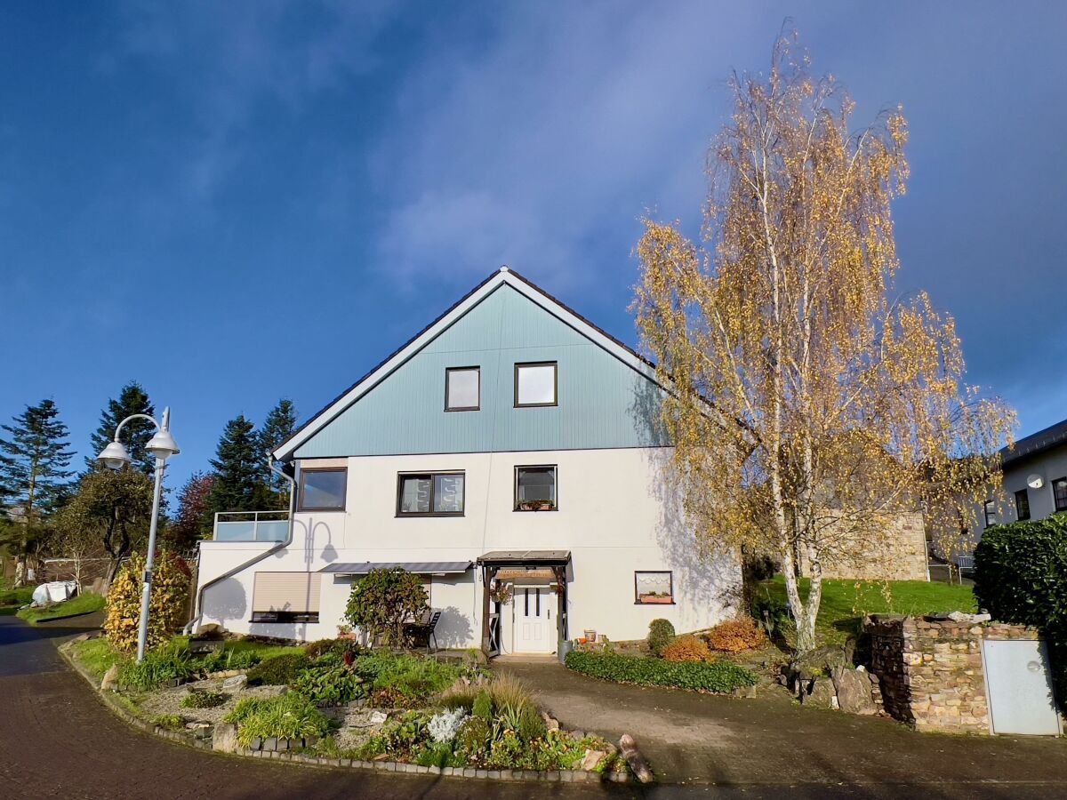 Hunsrückblick am Soonwaldsteig