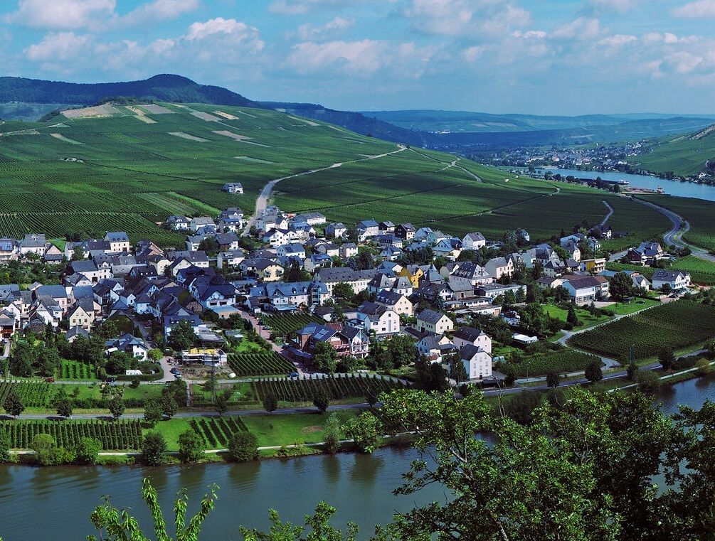 Gästehaus Weingut Brennerei Zisch