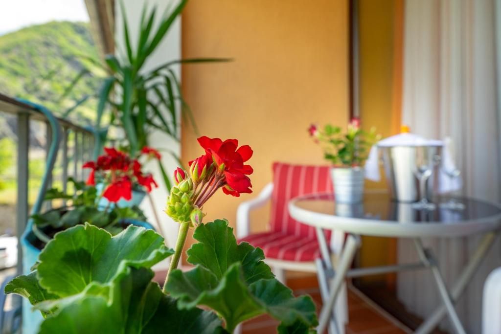 Hotel Restaurant Goldener Pfropfenzieher