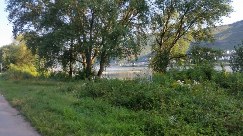 sep. Garten am Rhein zum Relaxen und Grillen