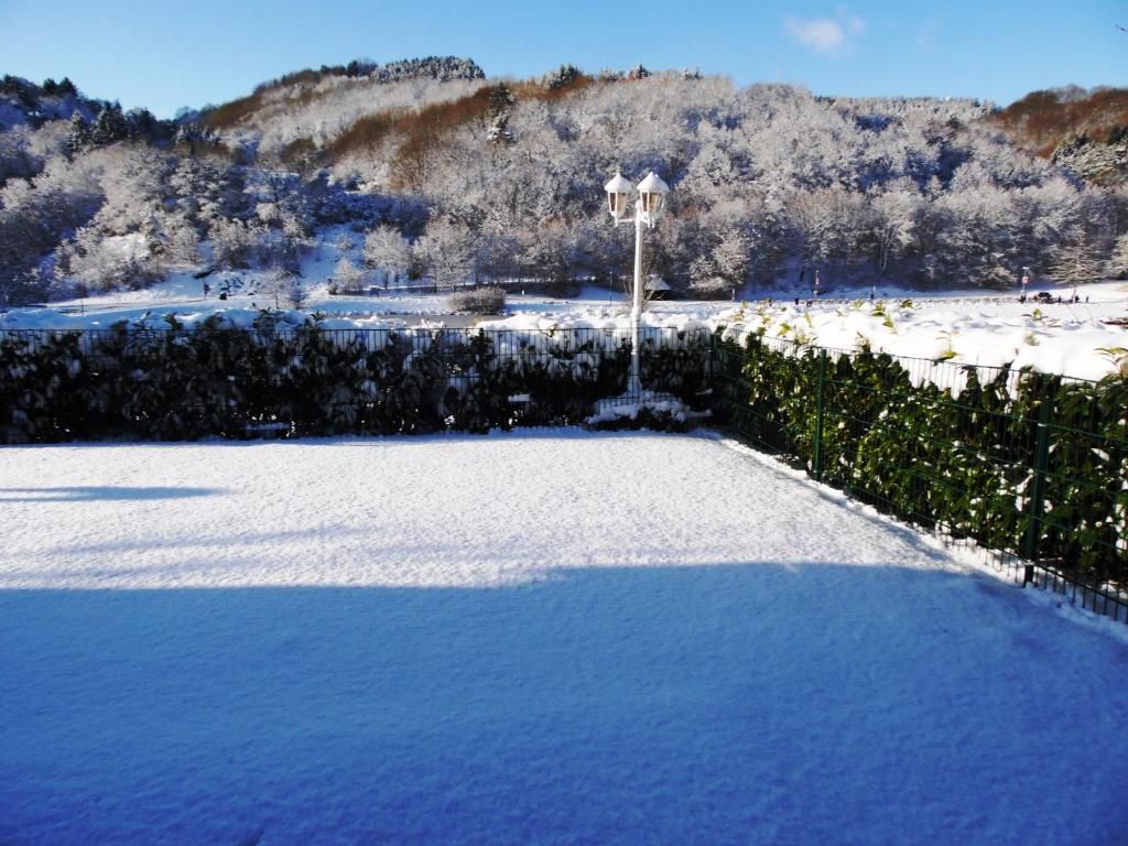 Ferienhaus Chalet am Waldsee