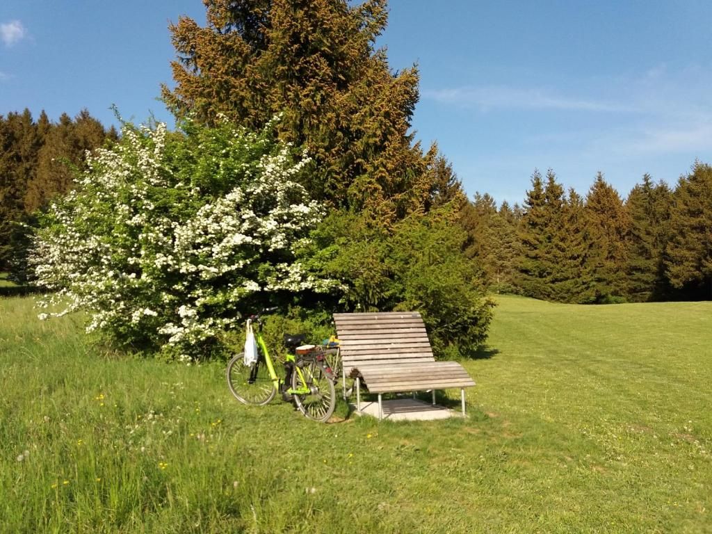 Relaxen