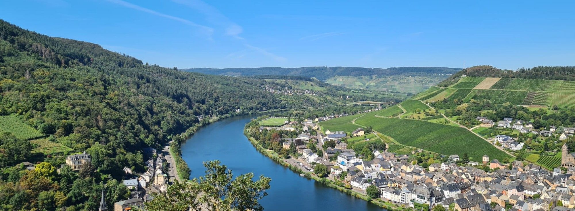 Moselcampingplatz Wolf