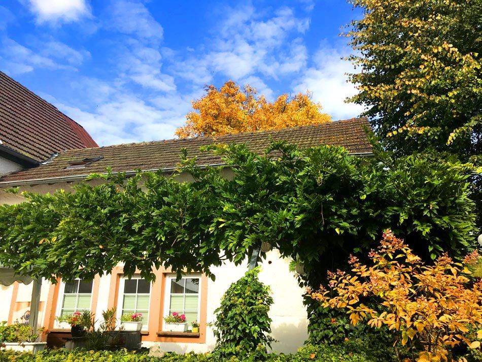 Ferienwohnung Enjoy 2