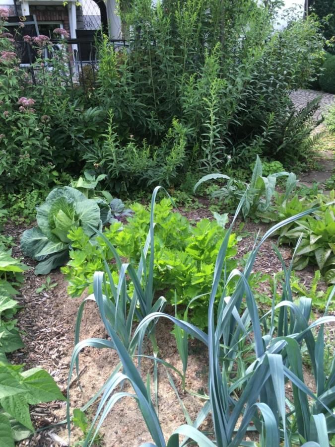 Ferienhaus Landhaus Almyssen