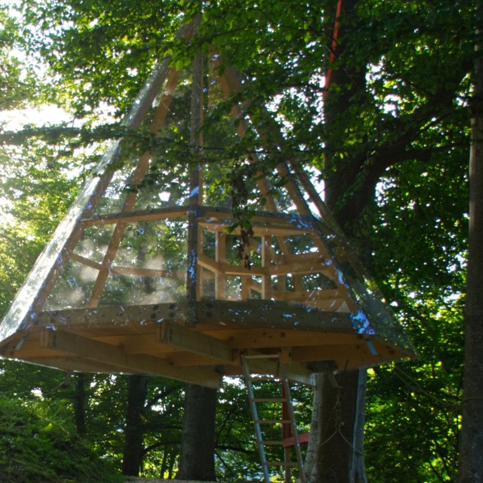 Baumhaus Altensteig Schlossberg