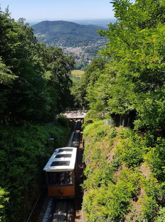 Ferienwohnung Sommerbergparadies
