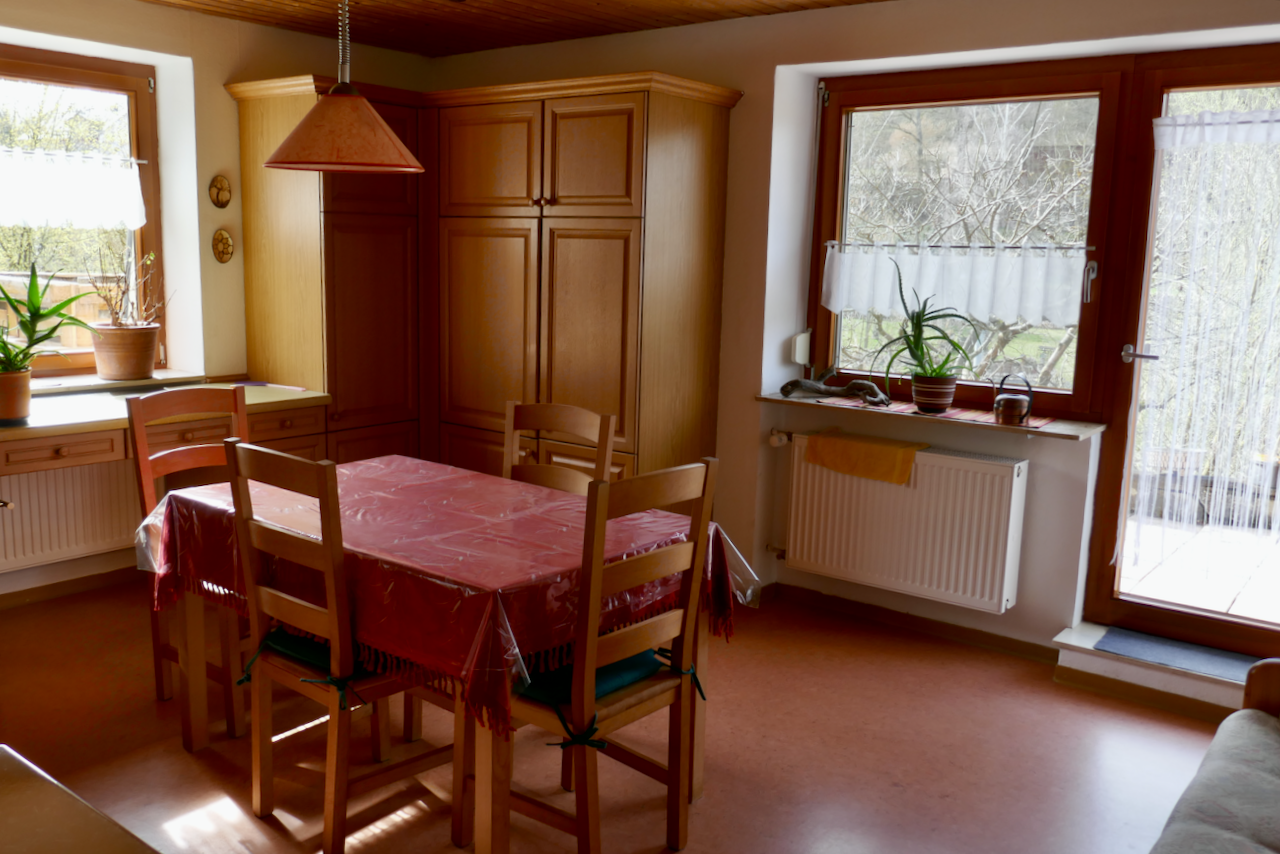 Wohnküche mit Zugang zur Terrasse