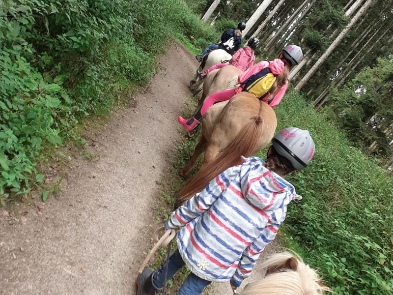 Ferienhaus am Ponyhof