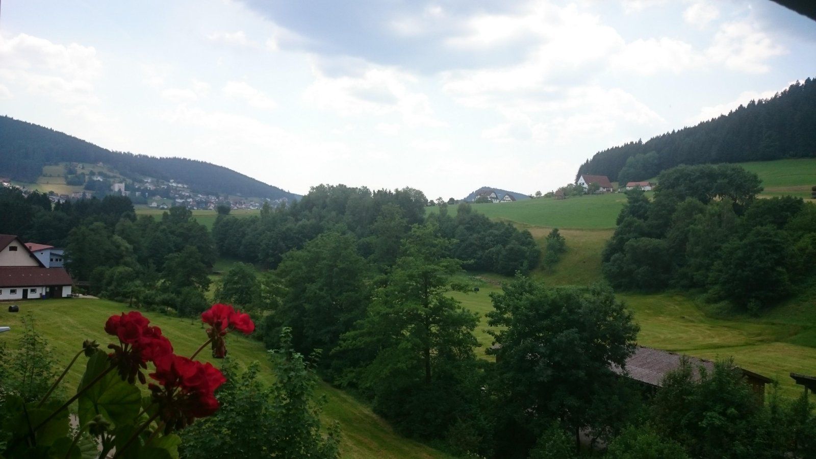 Ferienwohnungen Black Forest Experience