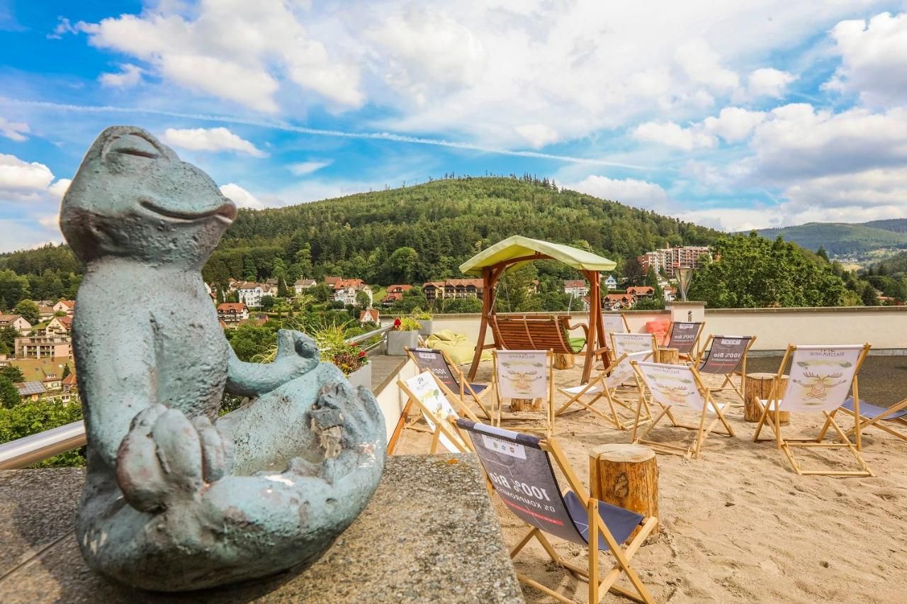 SCHWARZWALD PANORAMA