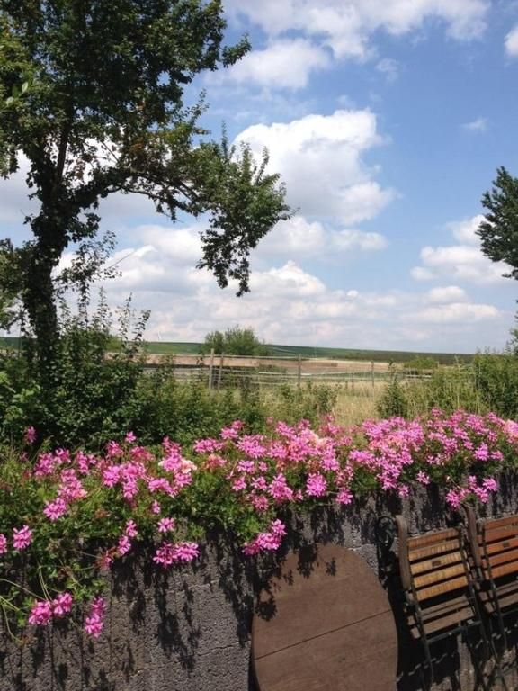 Ferienunterkünfte Am Backhausgarten