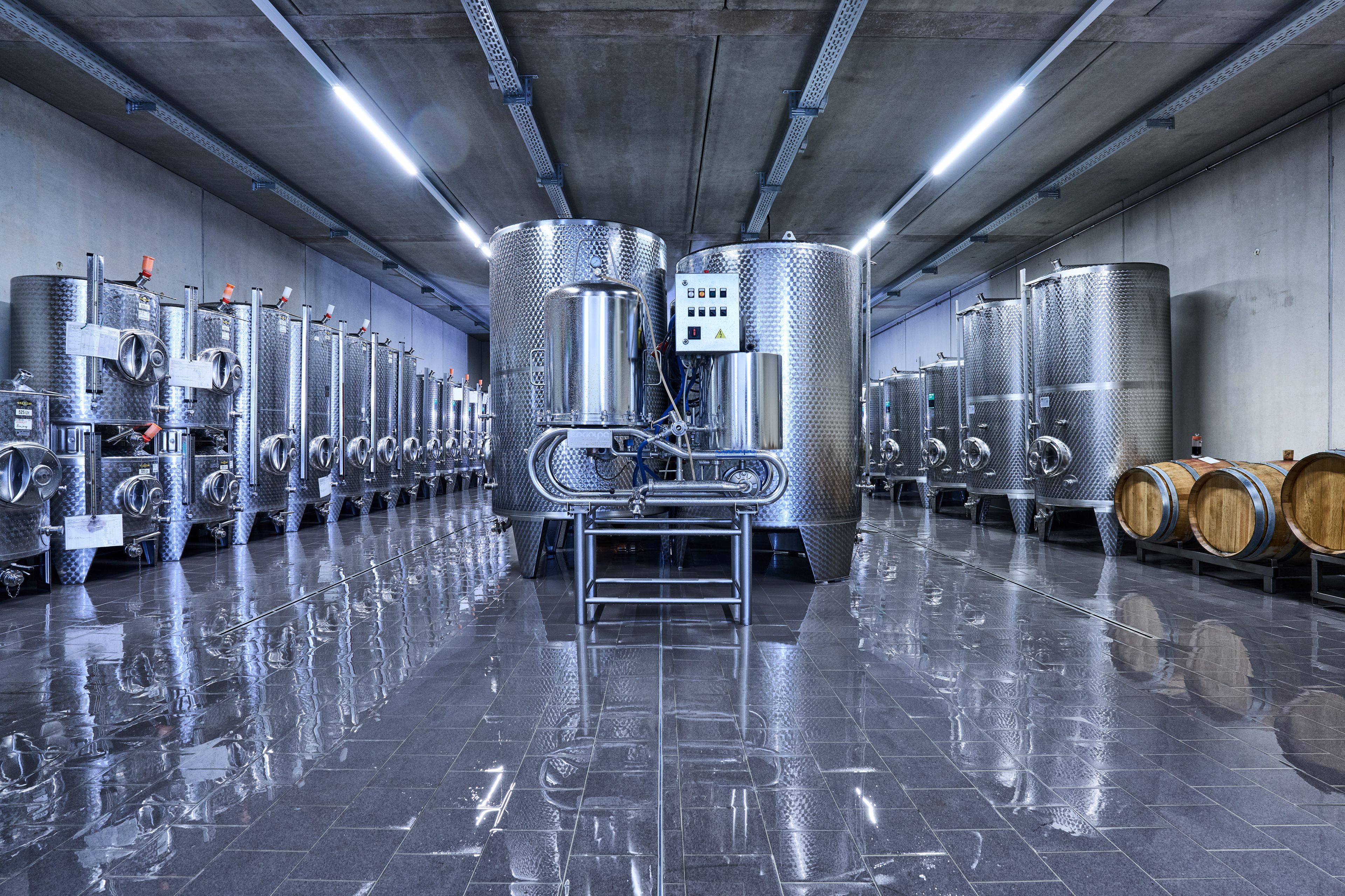 Ferienweingut Boujong & Pension Moselblick